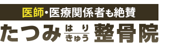 東大阪市の腰痛改善なら「たつみはりきゅう整骨院」 ロゴ